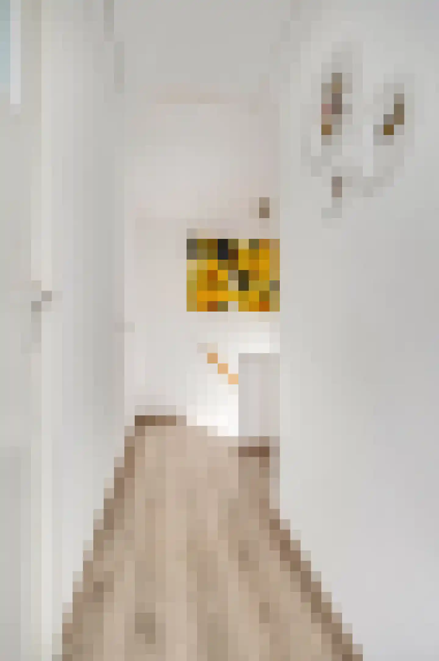 Rosmolenstraat 19 Angeren thumbnail 22