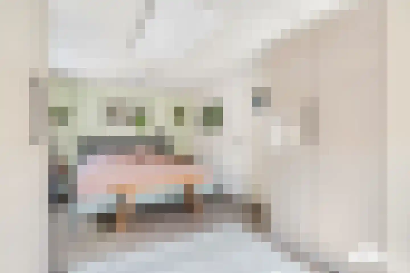 Rosmolenstraat 19 Angeren thumbnail 27