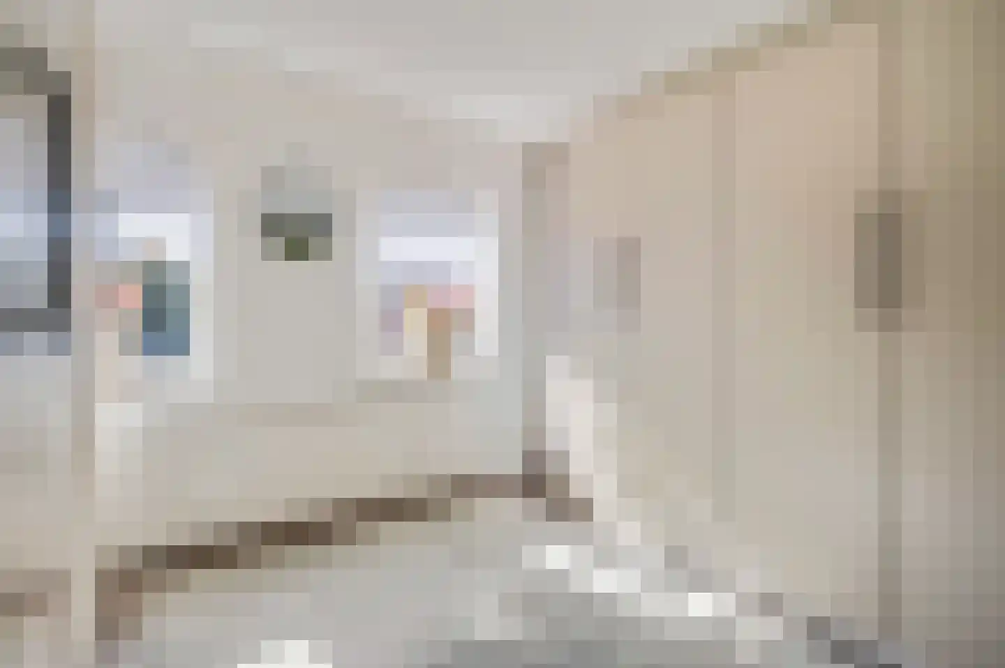 Rosmolenstraat 19 Angeren thumbnail 30