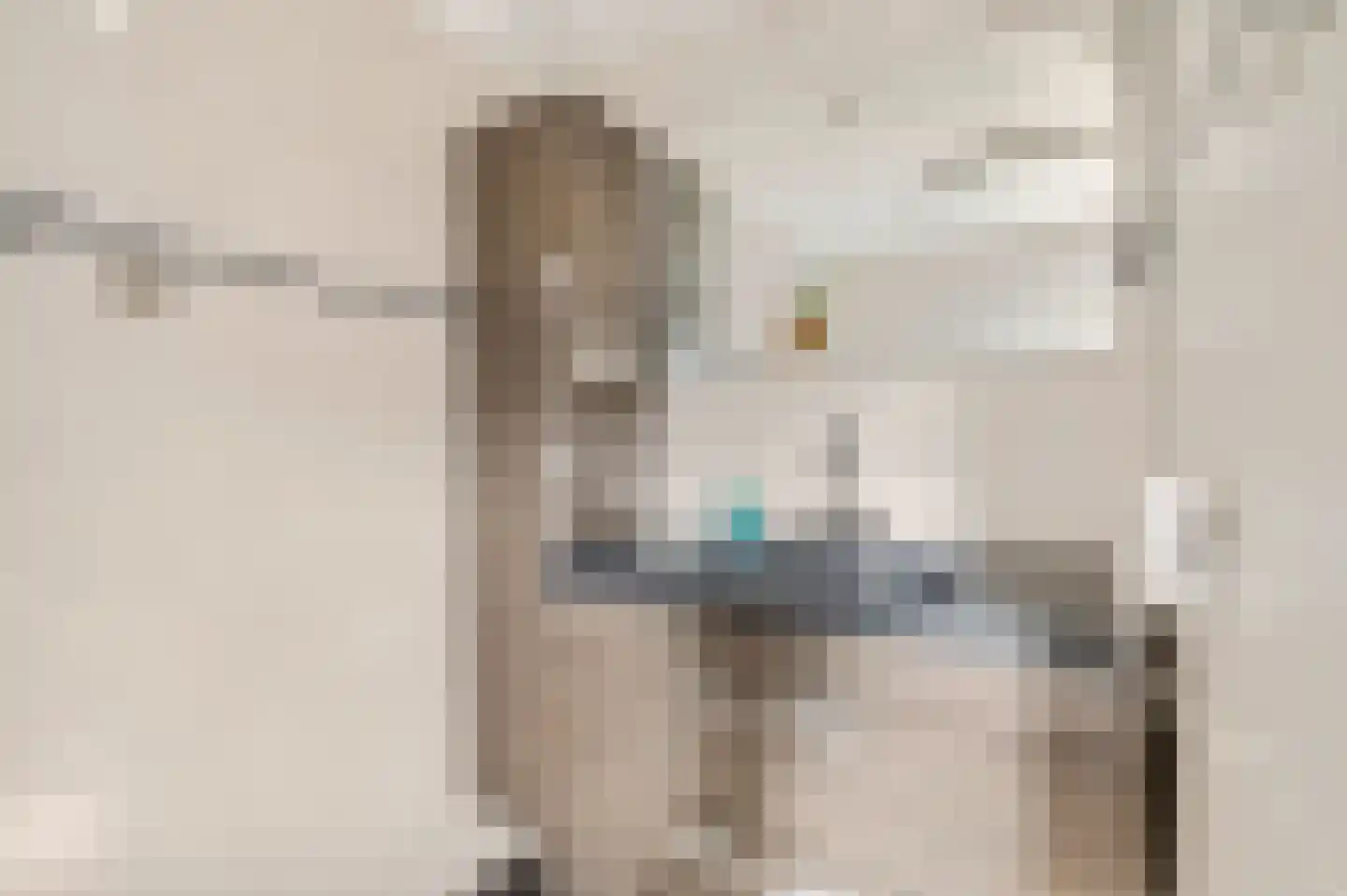 Rosmolenstraat 19 Angeren thumbnail 32