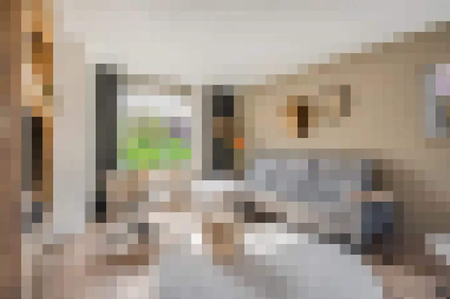 Rosmolenstraat 19 Angeren thumbnail 7
