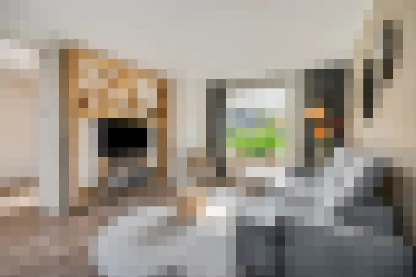 Rosmolenstraat 19 Angeren thumbnail 8