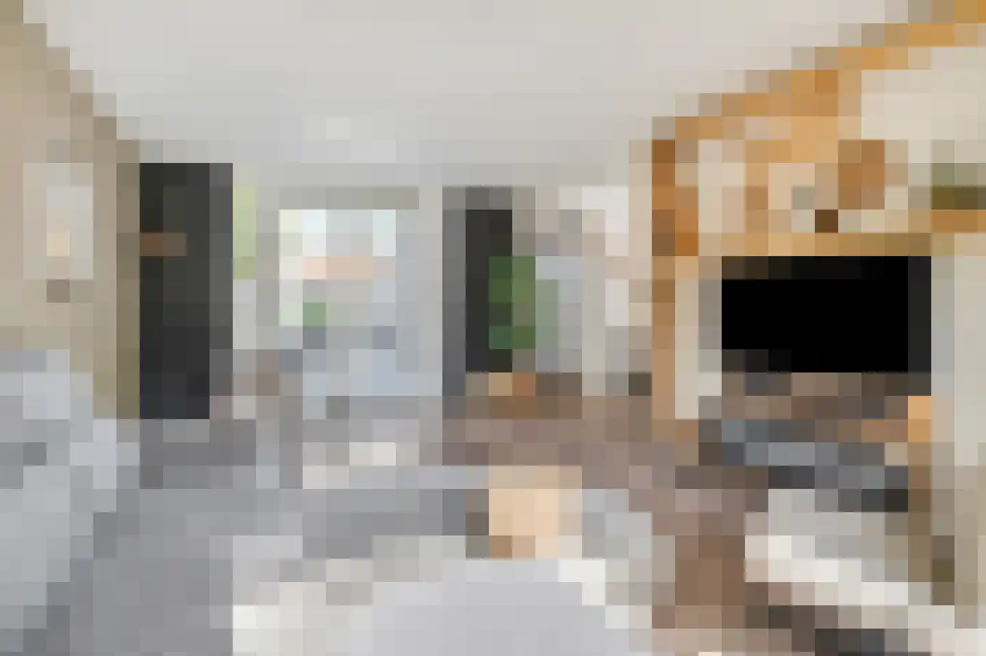 Rosmolenstraat 19 Angeren thumbnail 9