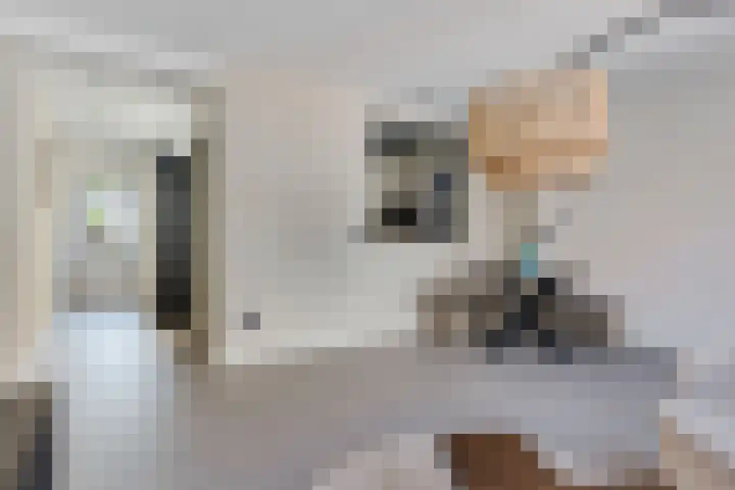 Rosmolenstraat 20 A Sittard thumbnail 30