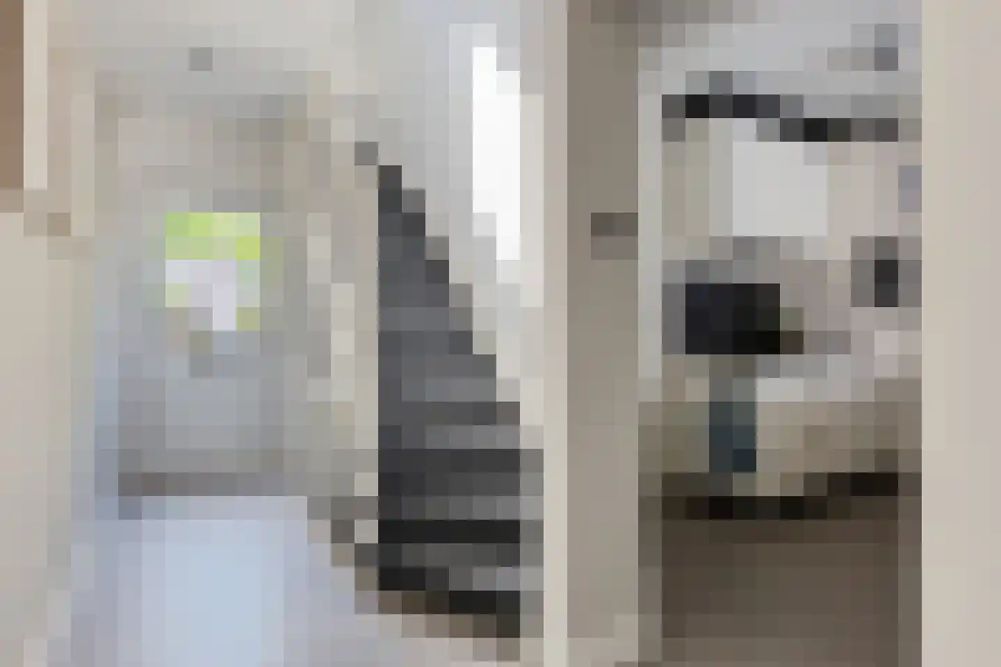 Rosmolenstraat 20 A Sittard thumbnail 34