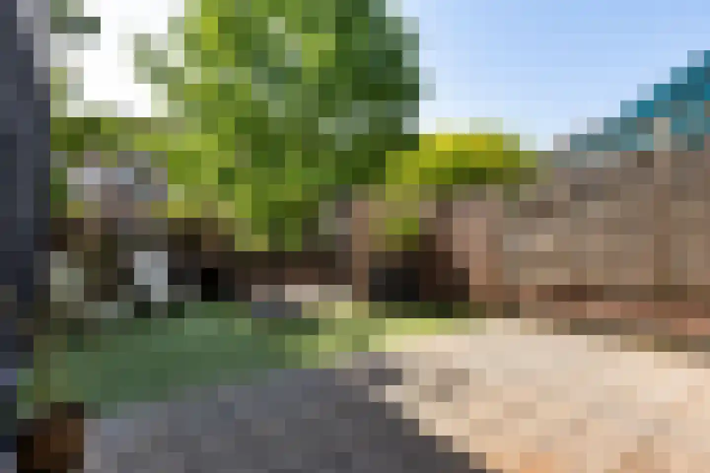 Rosmolenstraat 20 A Sittard thumbnail 36