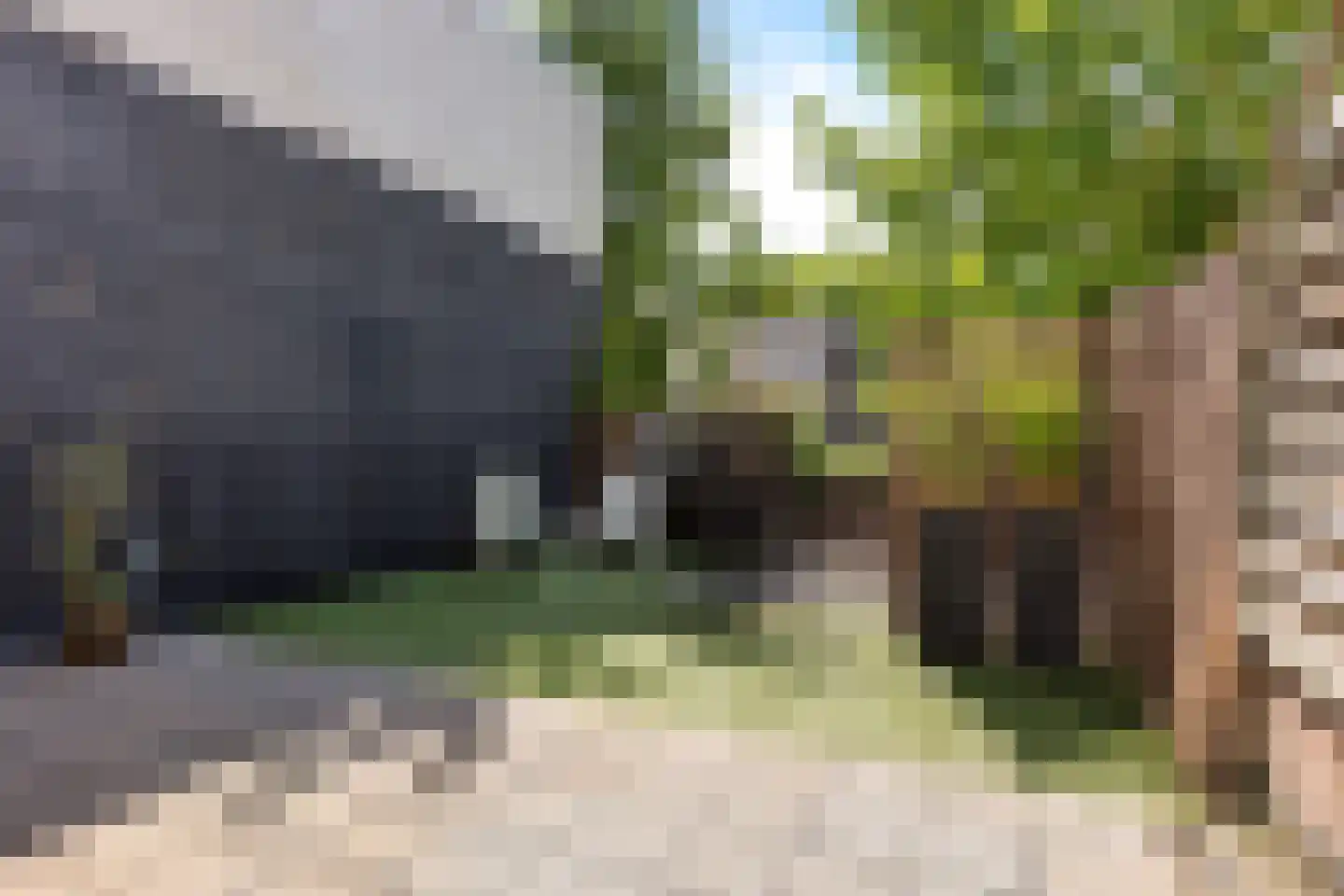 Rosmolenstraat 20 A Sittard thumbnail 37
