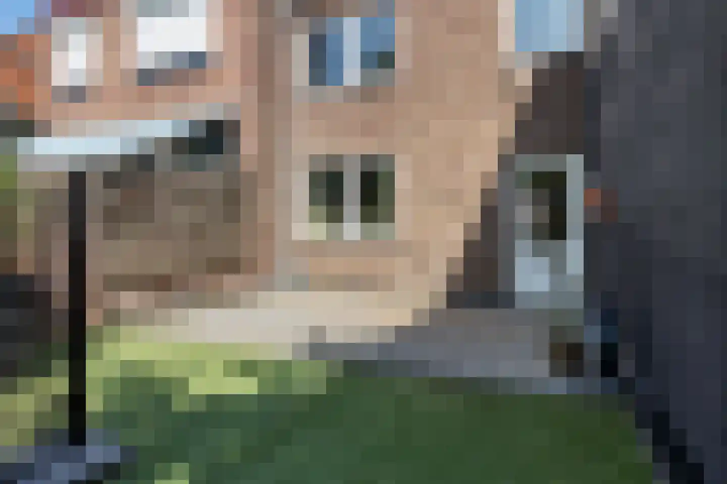 Rosmolenstraat 20 A Sittard thumbnail 38