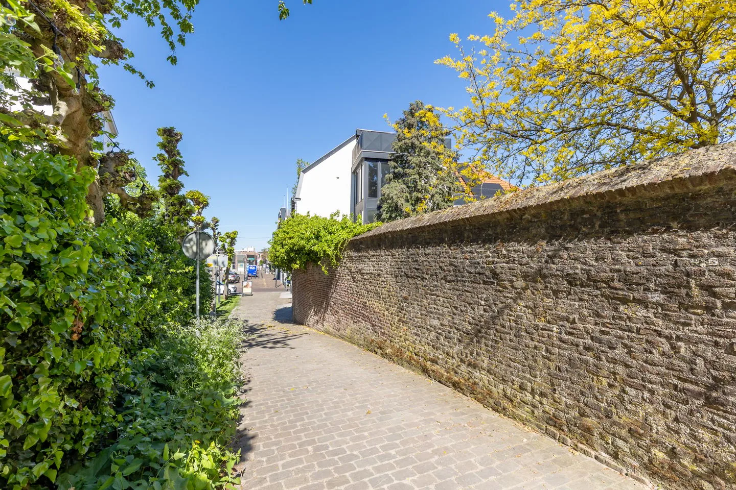 Rosmolenstraat 26 Sittard thumbnail 9