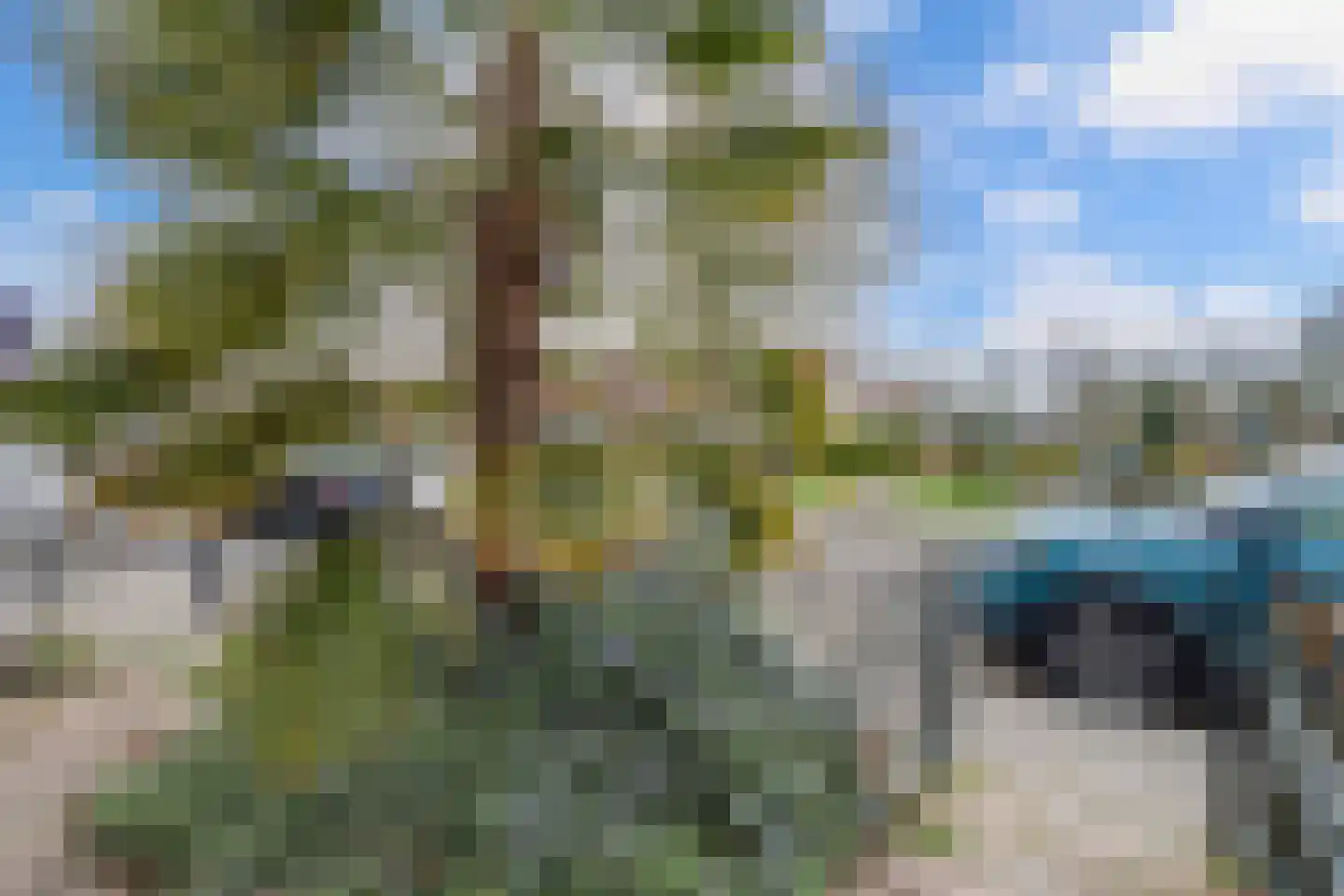 Rosmolenstraat 3 Almere thumbnail 33