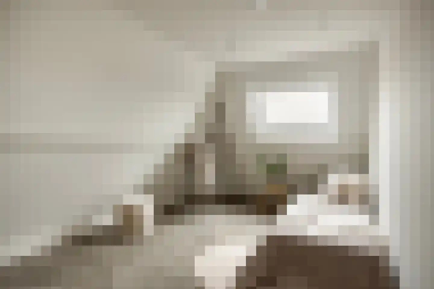 Rosmolenstraat 36 A Zaandam thumbnail 27