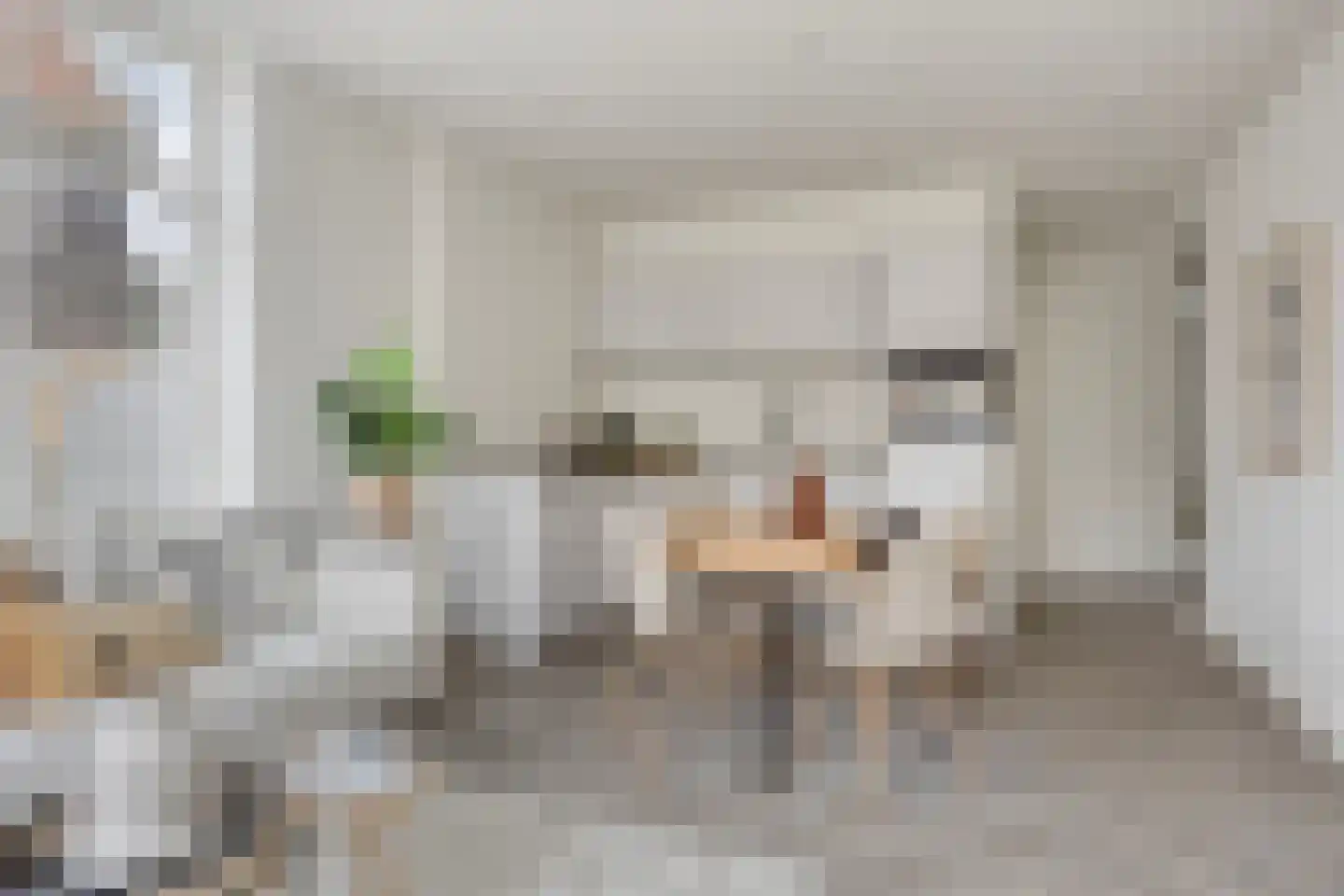 Rosmolenstraat 36 Zaandam thumbnail 12