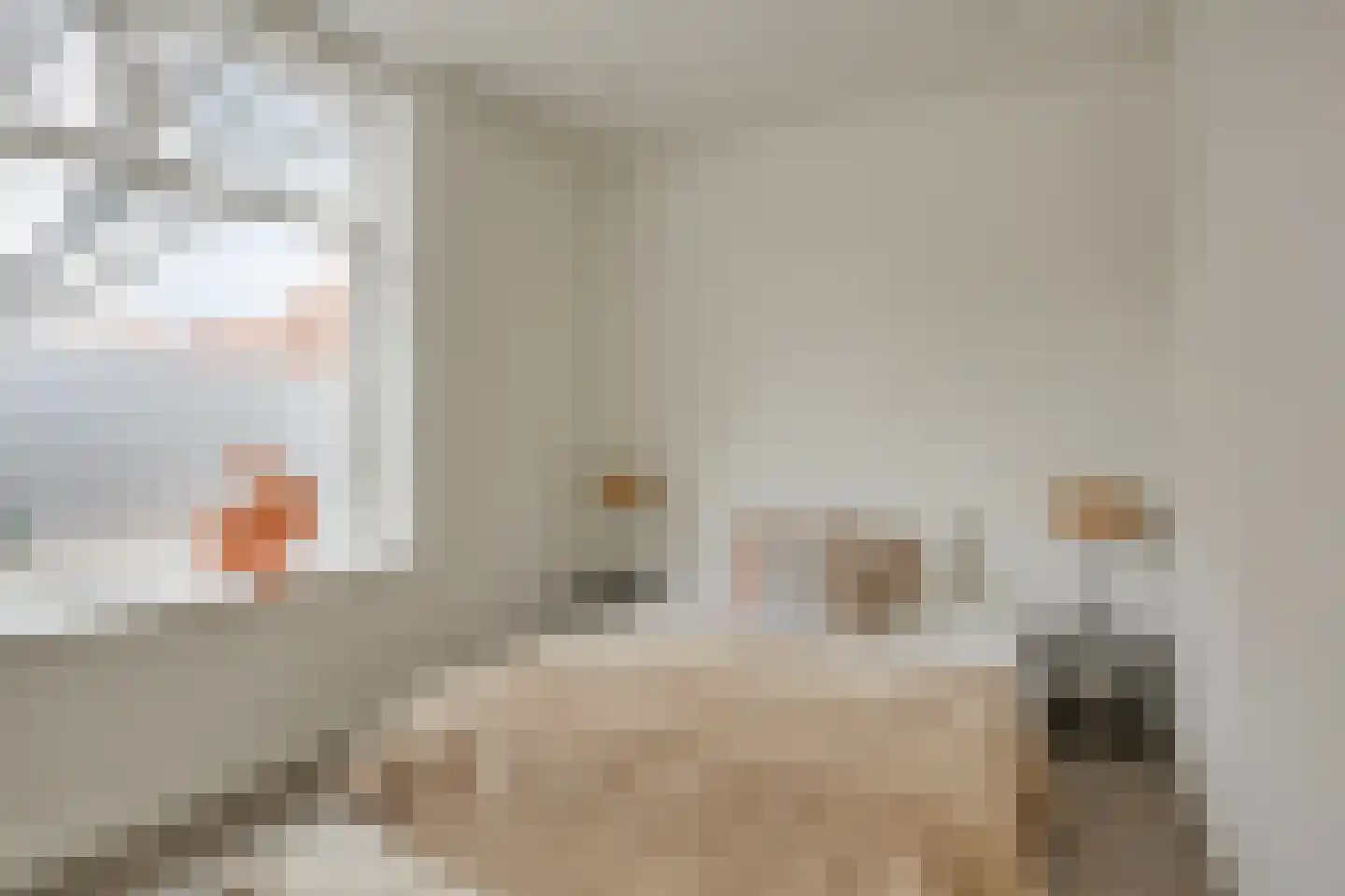 Rosmolenstraat 36 Zaandam thumbnail 4