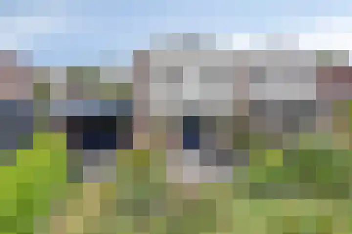 Rosmolenstraat 53 Lochem thumbnail 22