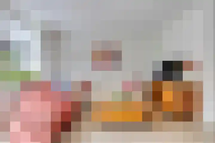 Rosmolenstraat 53 Lochem thumbnail 5