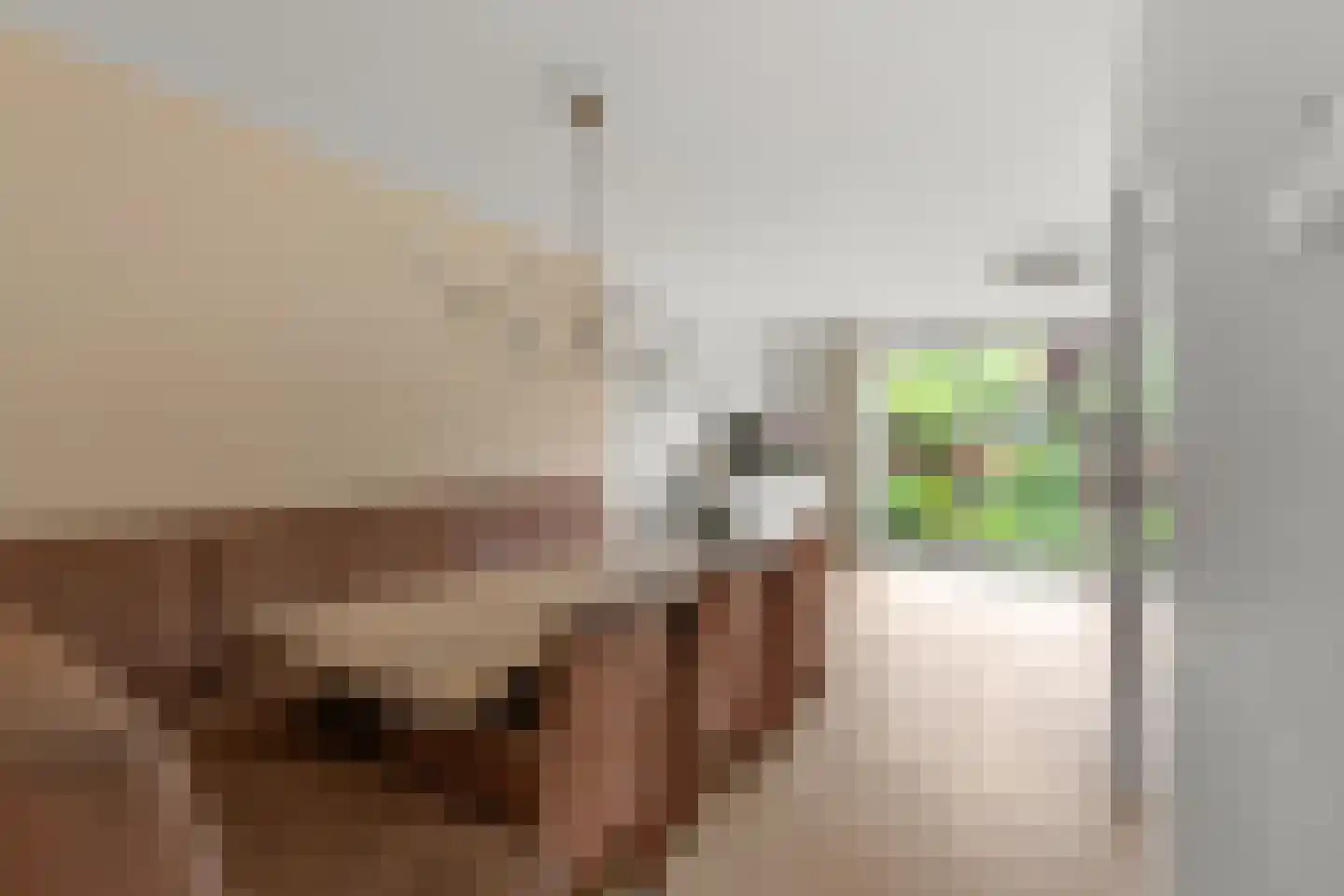 Rosmolenstraat 82 Leusden thumbnail 10
