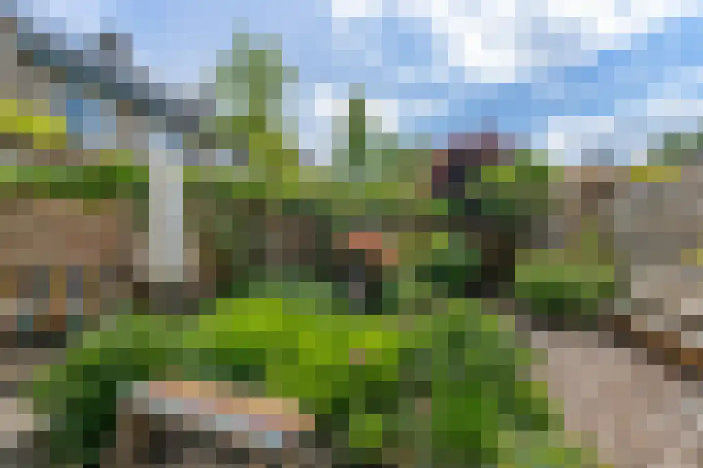Rosmolenstraat 82 Leusden thumbnail 14