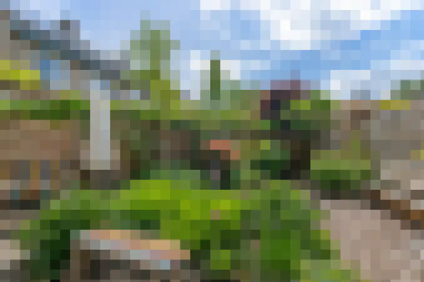 Rosmolenstraat 82 Leusden thumbnail 14