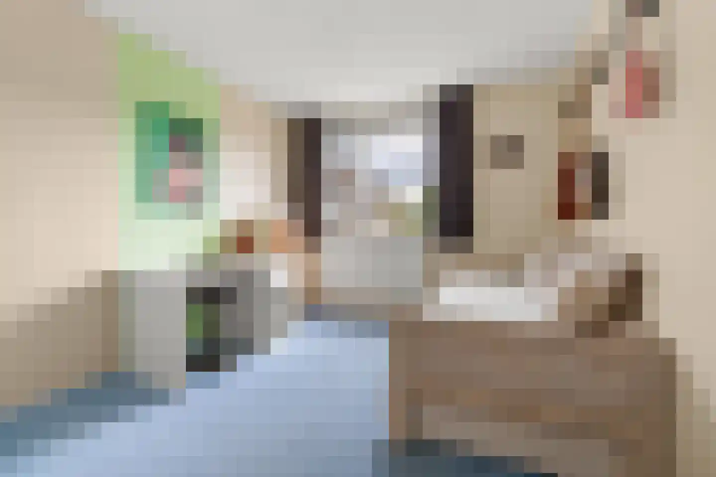 Rosmolenstraat 82 Leusden thumbnail 21