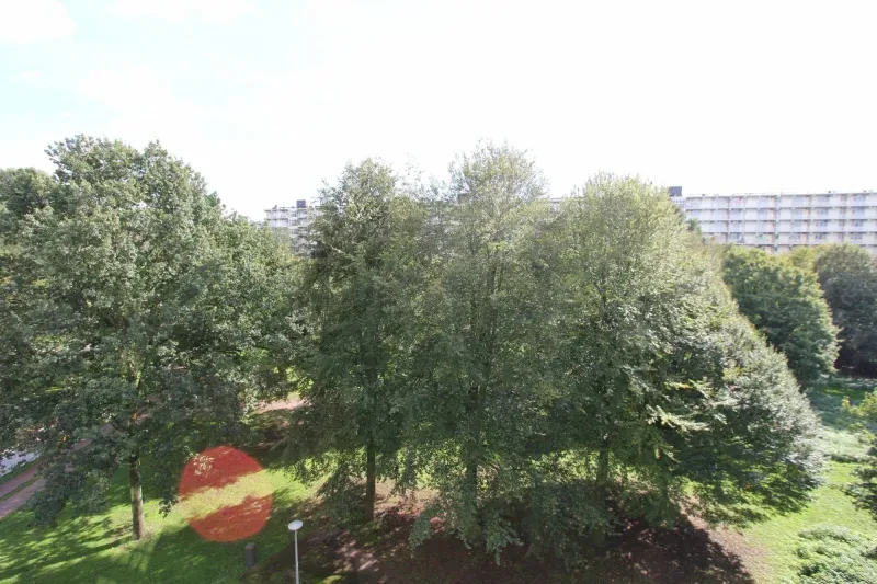 Kantoor foto van Rosmuller Makelaars