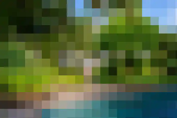 Screenshot van de website van www.rosmuller.nl