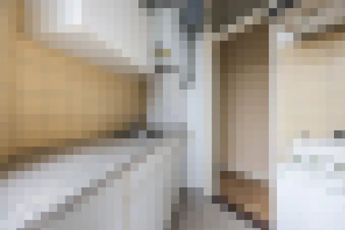 Rosseelsstraat 54 Den Haag thumbnail 18