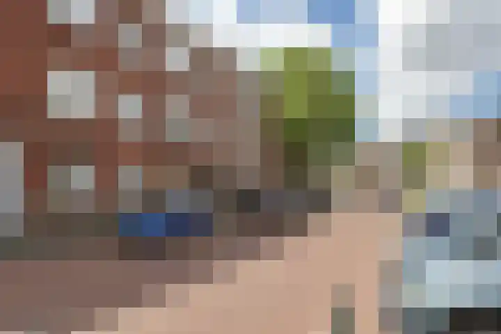 Rosseelsstraat 84 Den Haag thumbnail 6
