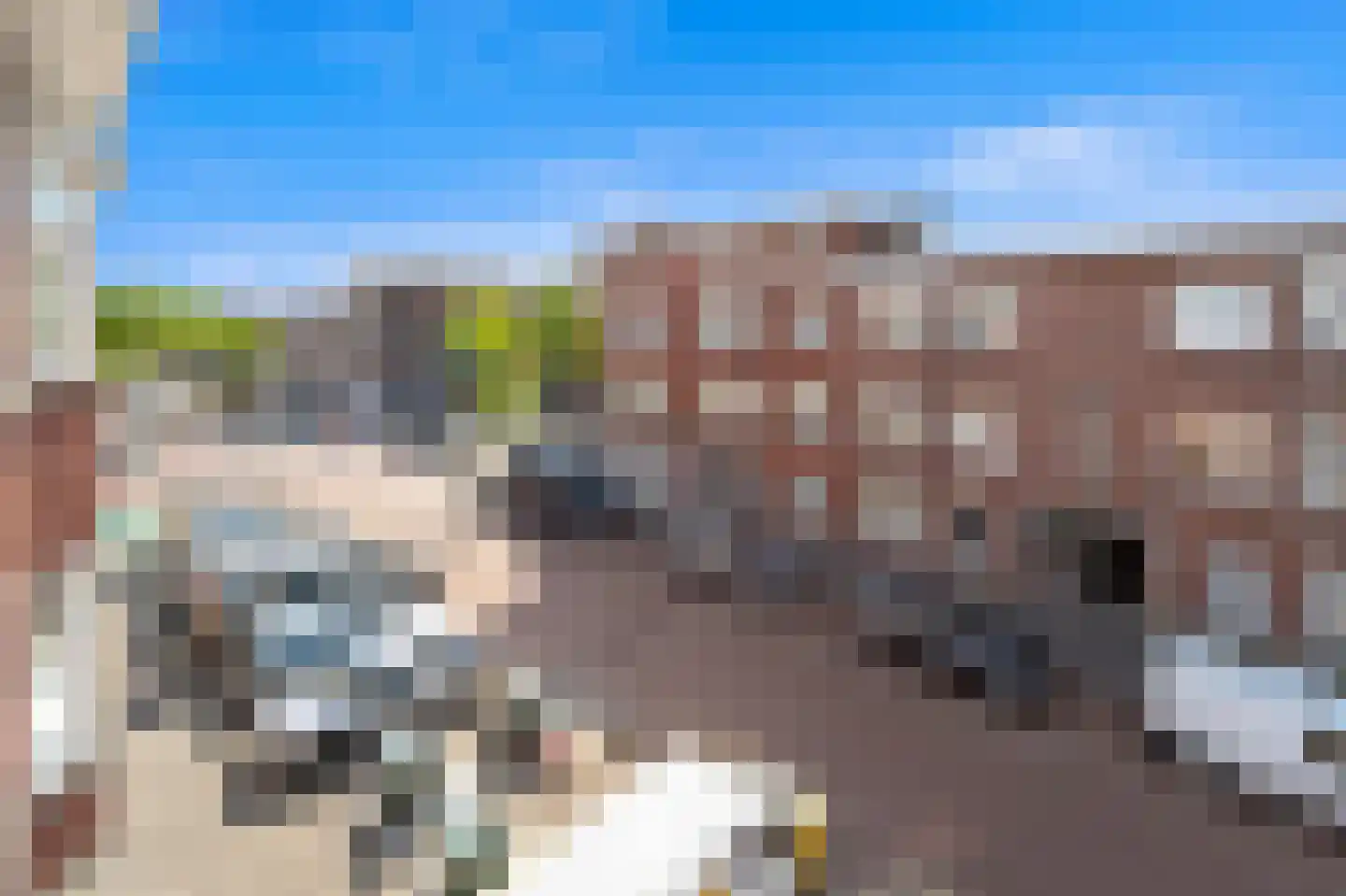 Rosseelsstraat 91 Den Haag thumbnail 27