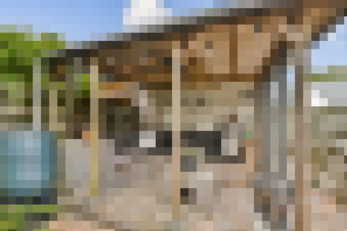 Rossini 14 Naaldwijk thumbnail 10