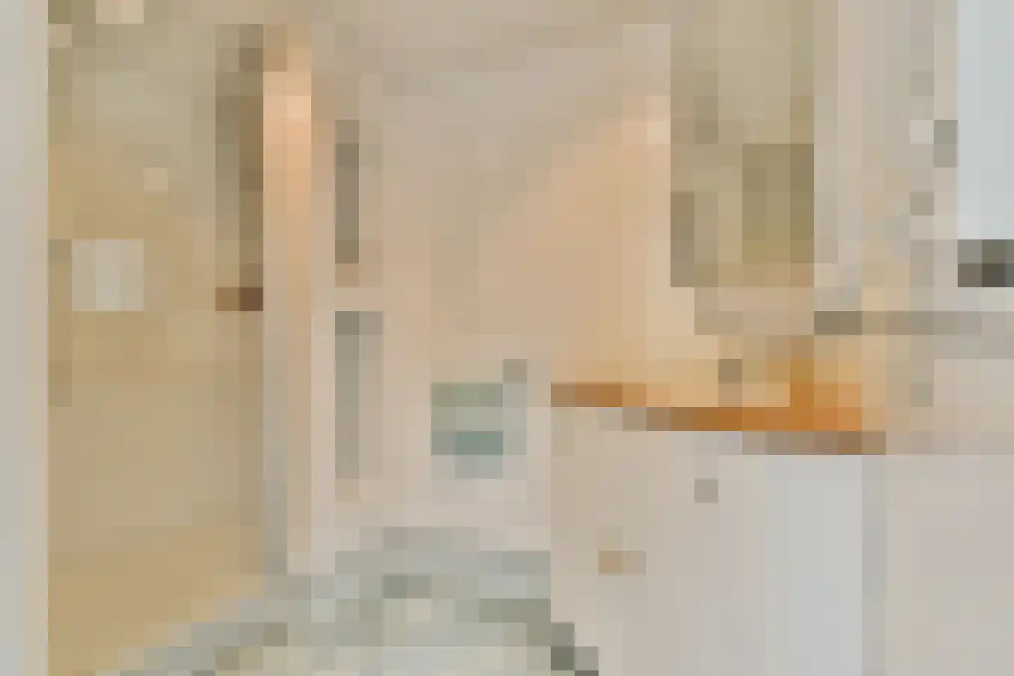 Rossini 14 Naaldwijk thumbnail 17