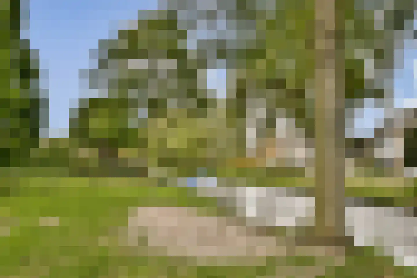 Rossini 14 Naaldwijk thumbnail 27