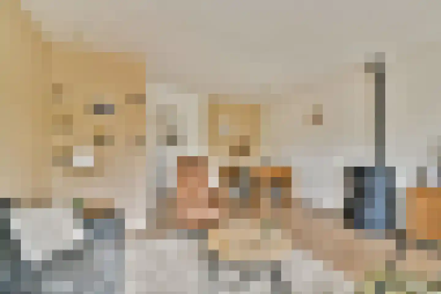Rossini 14 Naaldwijk thumbnail 4