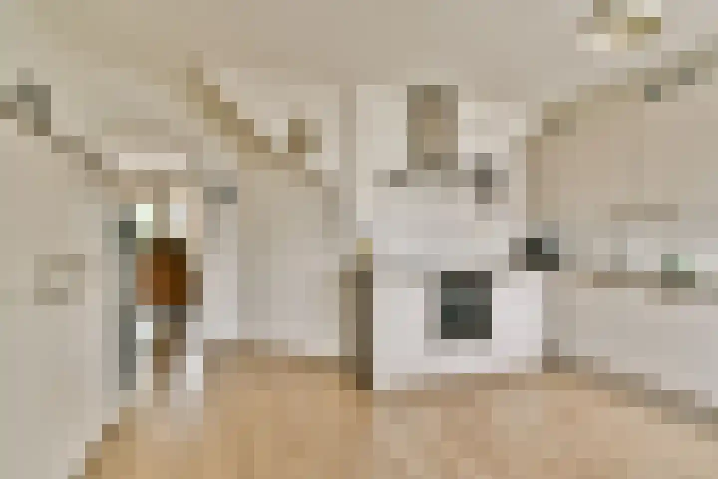 Rossini 14 Naaldwijk thumbnail 6