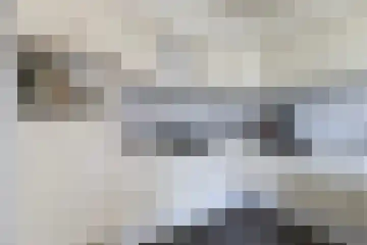 Rossinilaan 1 Assen thumbnail 14