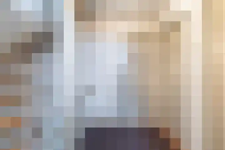 Rossinilaan 1 Assen thumbnail 27