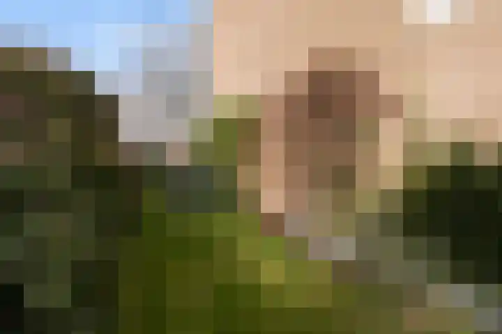 Rossinilaan 1 Assen thumbnail 34