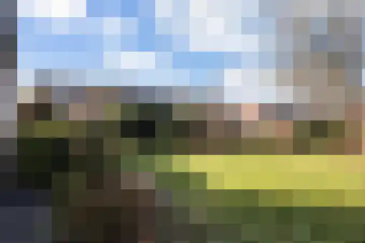 Rossinilaan 1 Assen thumbnail 36