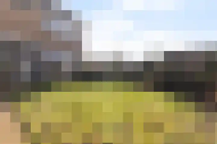 Rossinilaan 1 Assen thumbnail 38