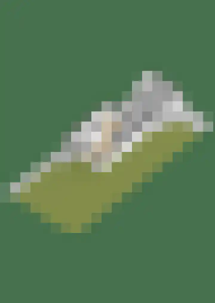 Rossinilaan 1 Assen thumbnail 48