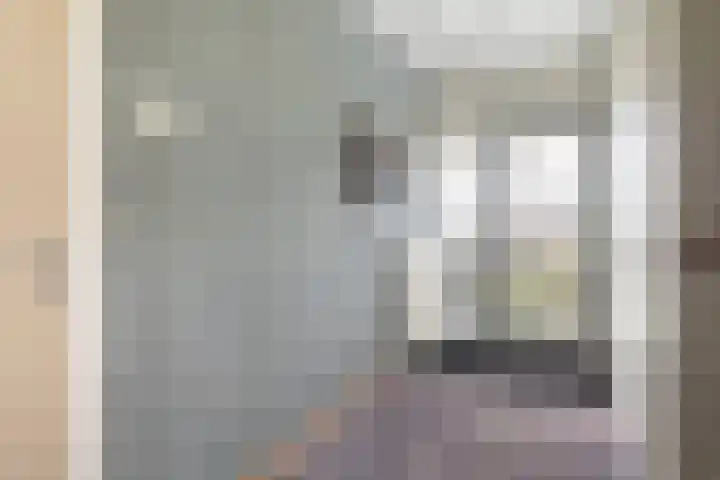 Rossinilaan 1 Assen thumbnail 8