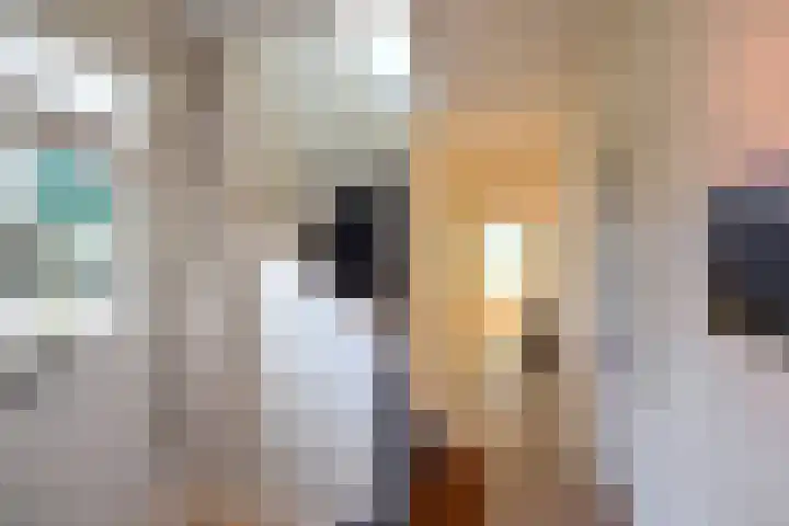 Rossinilaan 12 Hilversum thumbnail 12