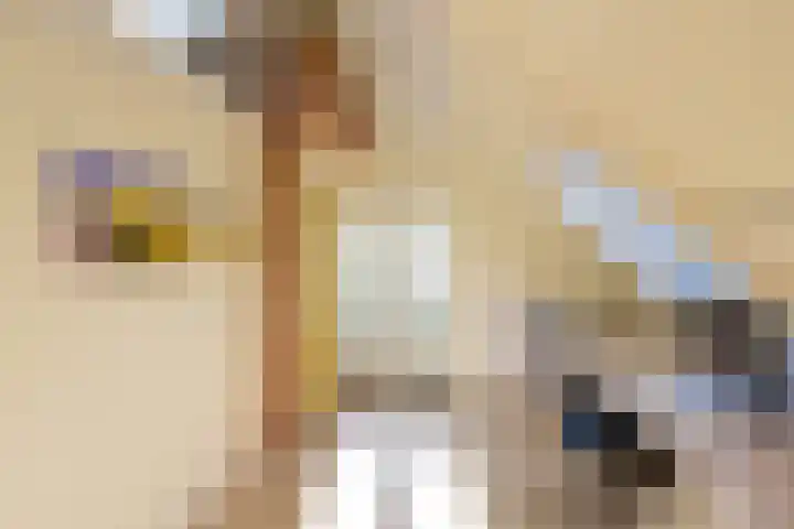 Rossinilaan 12 Hilversum thumbnail 17