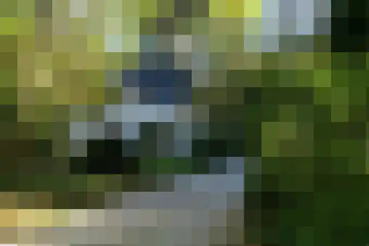 Rossinilaan 12 Hilversum thumbnail 19