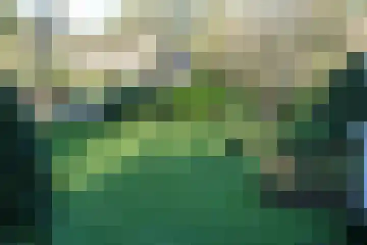 Rossinilaan 12 Hilversum thumbnail 23