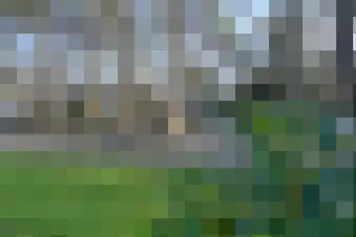 Rossinilaan 12 Hilversum thumbnail 25