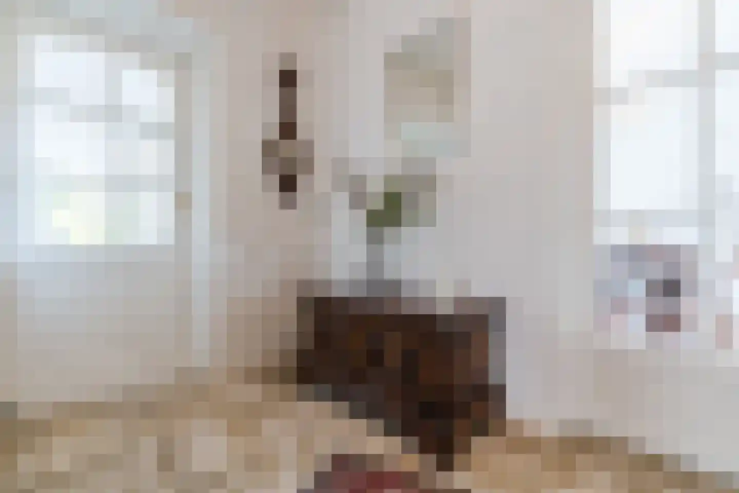 Rossinilaan 13 Berkel-Enschot thumbnail 12