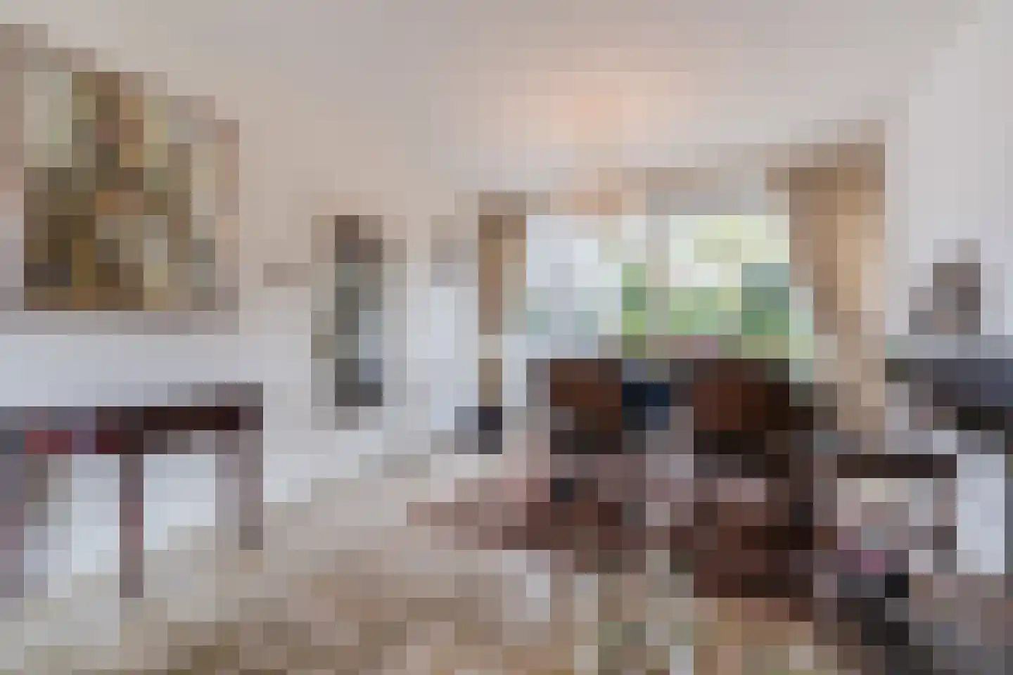 Rossinilaan 13 Berkel-Enschot thumbnail 18