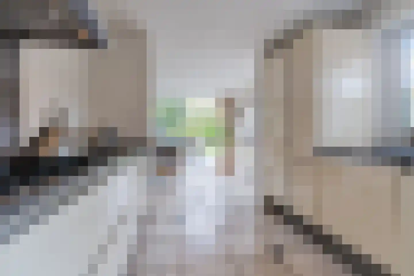Rossinilaan 13 Berkel-Enschot thumbnail 23