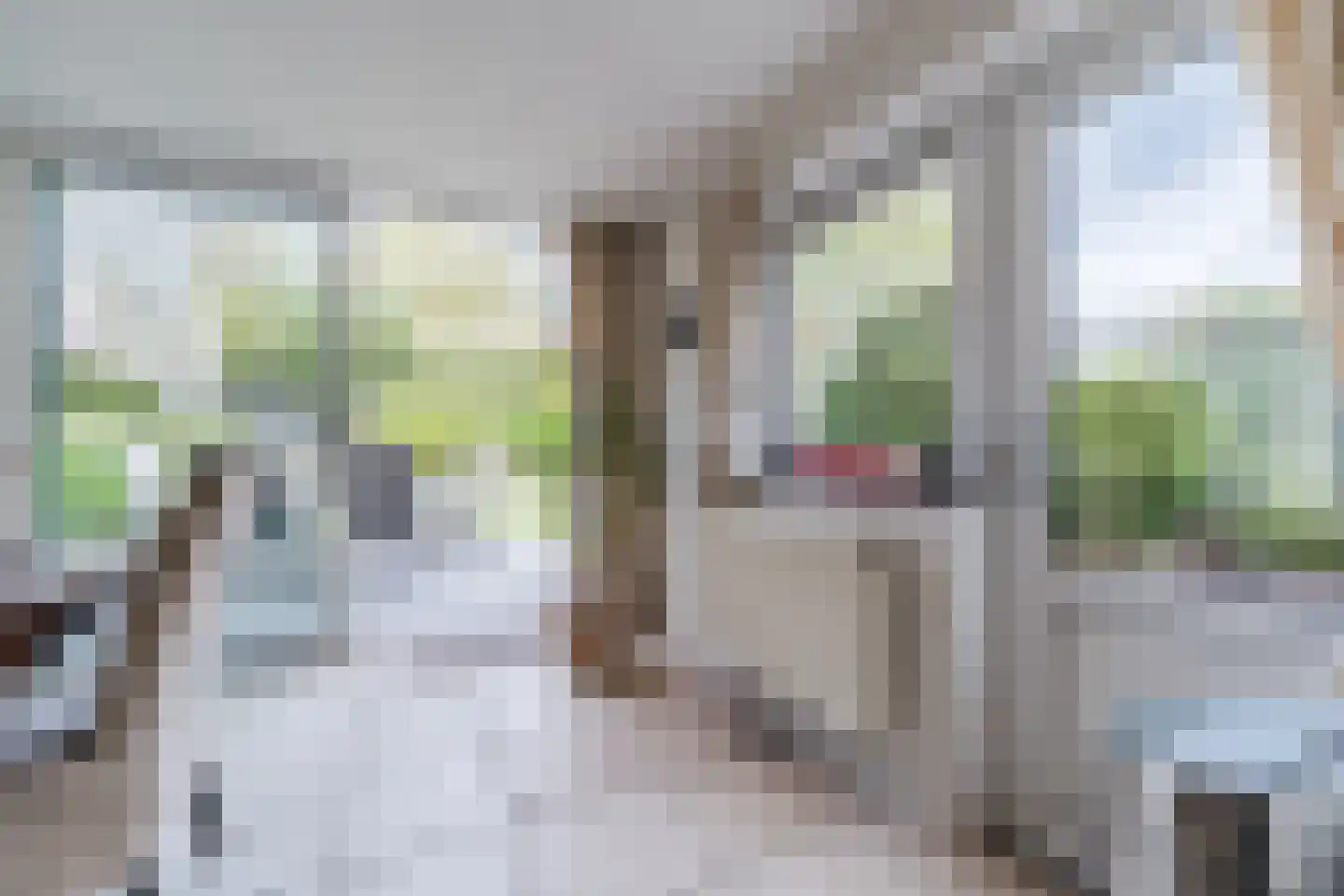 Rossinilaan 13 Berkel-Enschot thumbnail 25