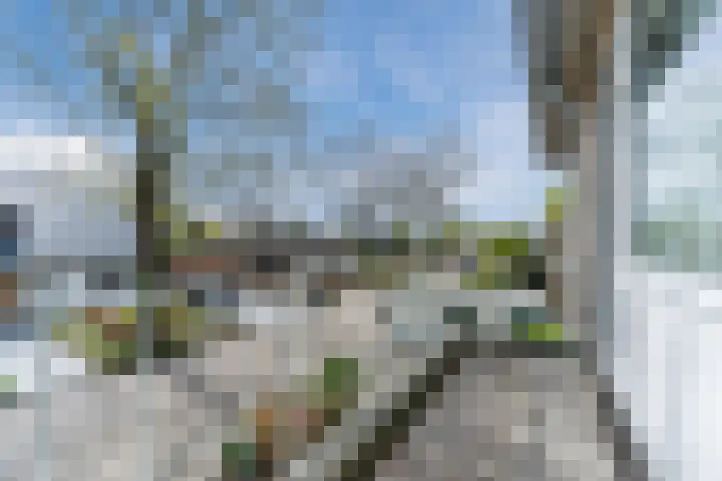 Rossinilaan 13 Berkel-Enschot thumbnail 33